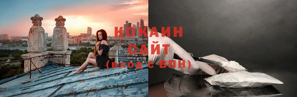бошки Богородицк