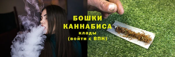 СК Бородино