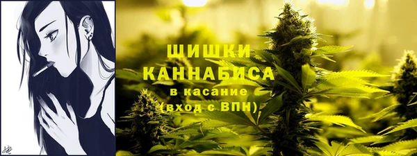 шишки Бугульма