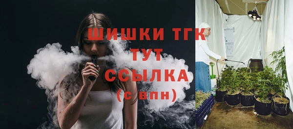 СК Бородино