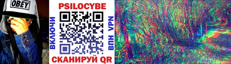 Псилоцибиновые грибы прущие грибы  Купить  Саянск 