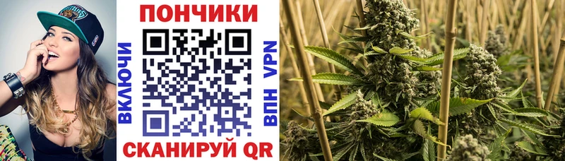 Бошки марихуана THC 21%  Купить где  Саянск 